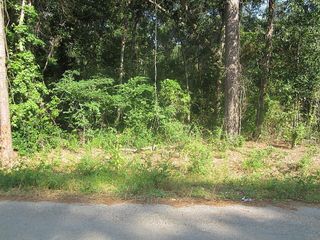 31127 Primrose Lane, Magnolia, TX 77354