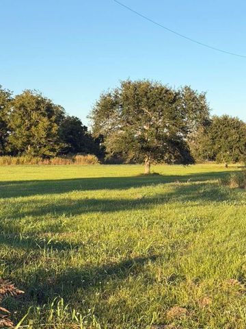 16318 Deerhaven Run, Rosharon, TX 77583