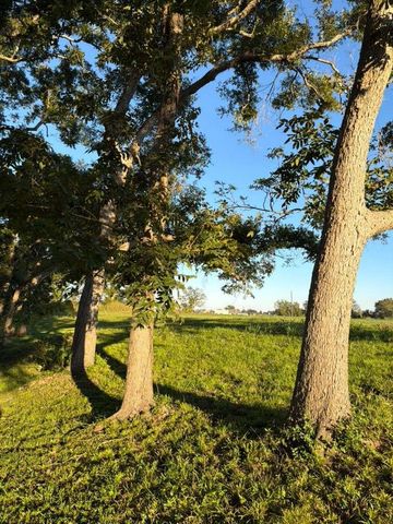 16318 Deerhaven Run, Rosharon, TX 77583