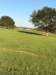 16318 Deerhaven Run, Rosharon, TX 77583