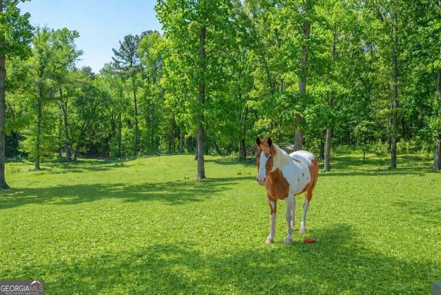 2176 N Bellview Road, Rockmart, GA 30153