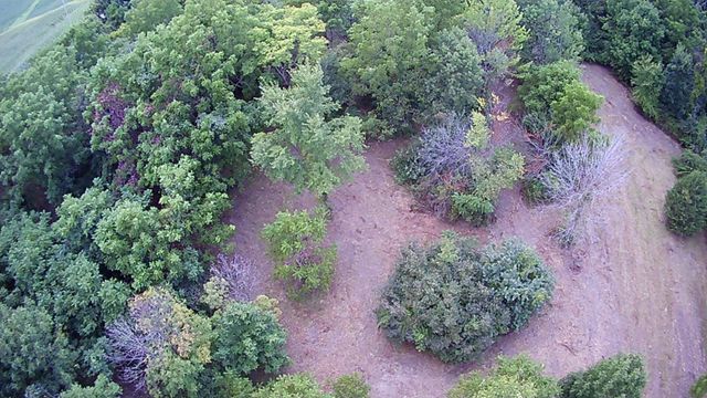 7105 Township Road 92, Mount Gilead, OH 43338