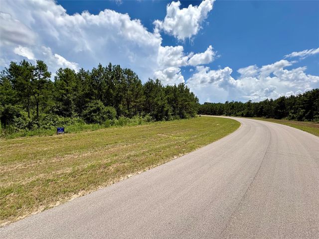 16270 Ridge Oak Road, Willis, TX 77378