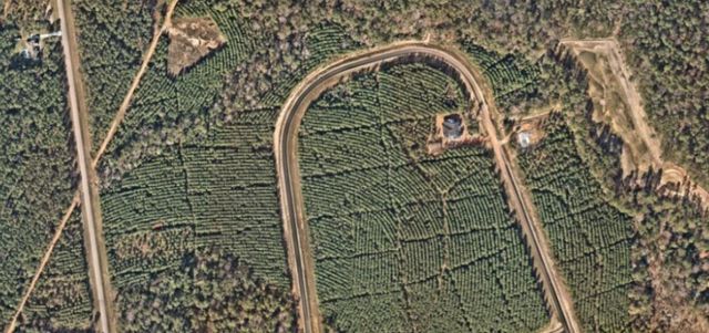 16270 Ridge Oak Road, Willis, TX 77378
