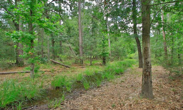 2658 Granite River Lane, Conroe, TX 77385