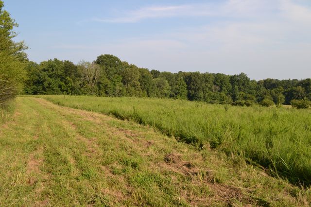 669 Houston Fielder Rd, Clarksville, TN 37043