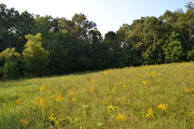 669 Houston Fielder Rd, Clarksville, TN 37043