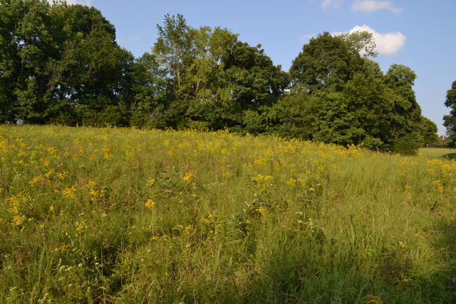 669 Houston Fielder Rd, Clarksville, TN 37043