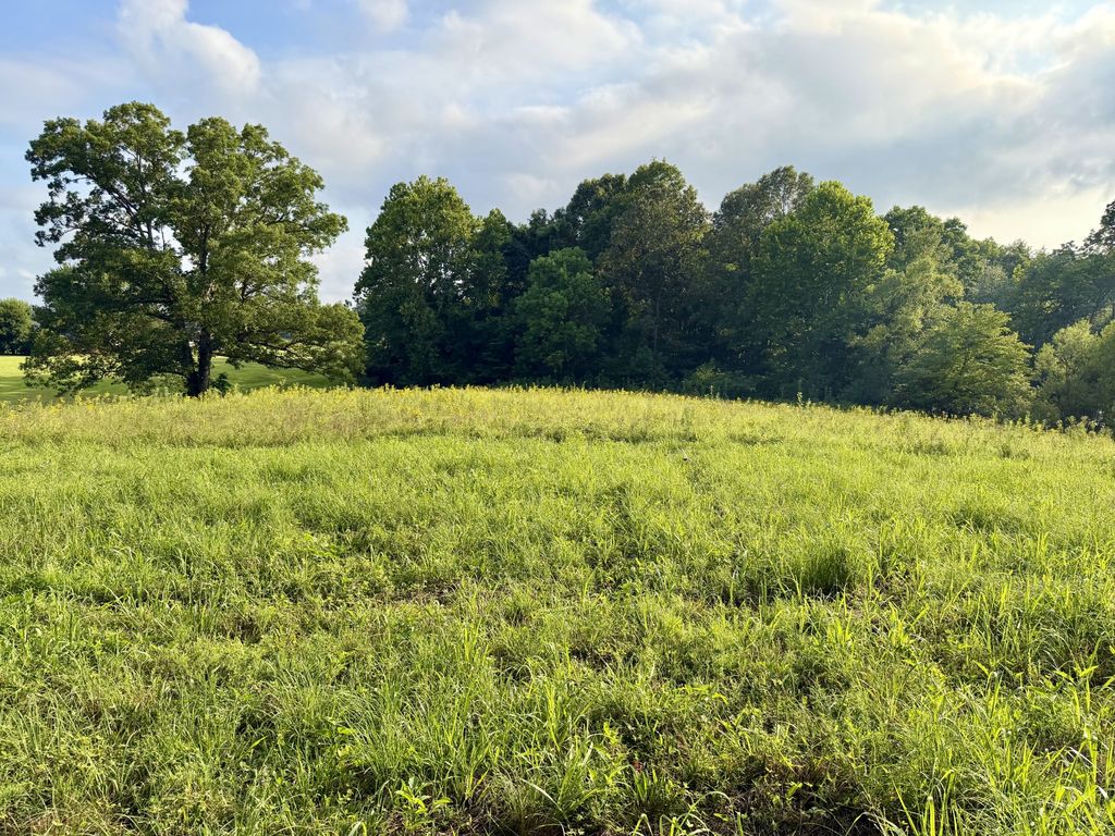 669 Houston Fielder Rd, Clarksville, TN 37043