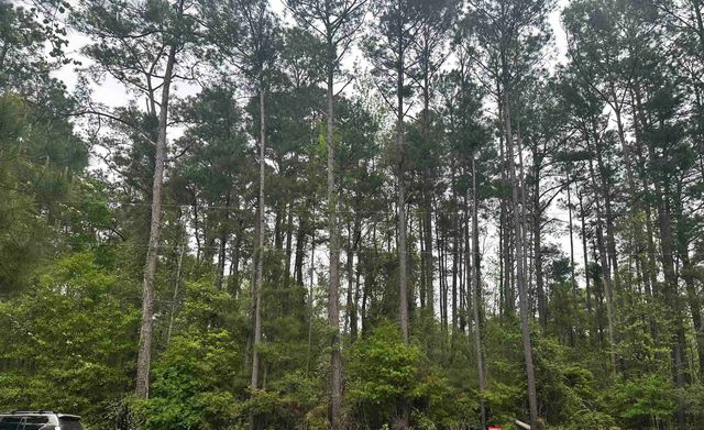 TBD Creekside Dr., Myrtle Beach, SC 29588