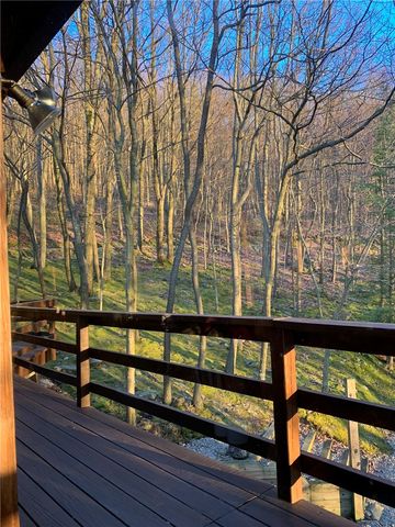 235 Pine Knob Rd, South Union Twp, PA 15445