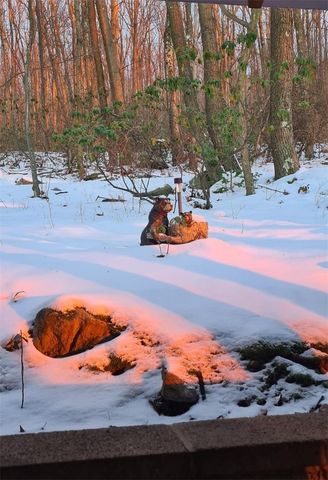 235 Pine Knob Rd, South Union Twp, PA 15445