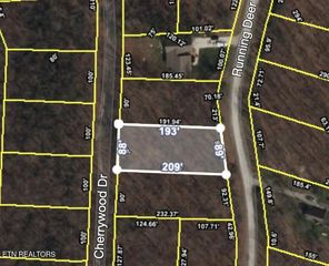 Running Deer, Crab Orchard, TN 37723