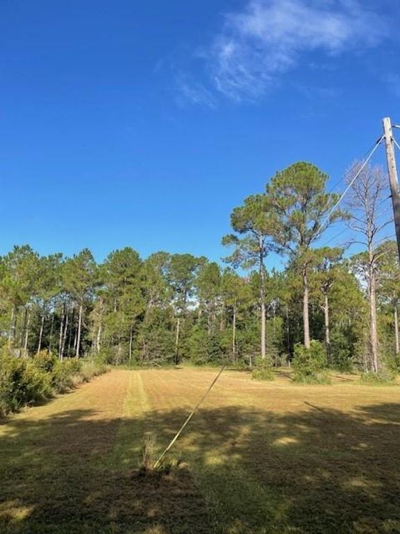 0 Ezell Road, Grand Bay, AL 36541 — photo 3