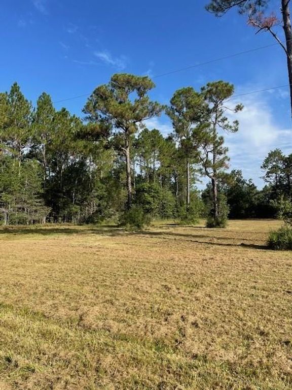 0 Ezell Road, Grand Bay, AL 36541 — photo 4