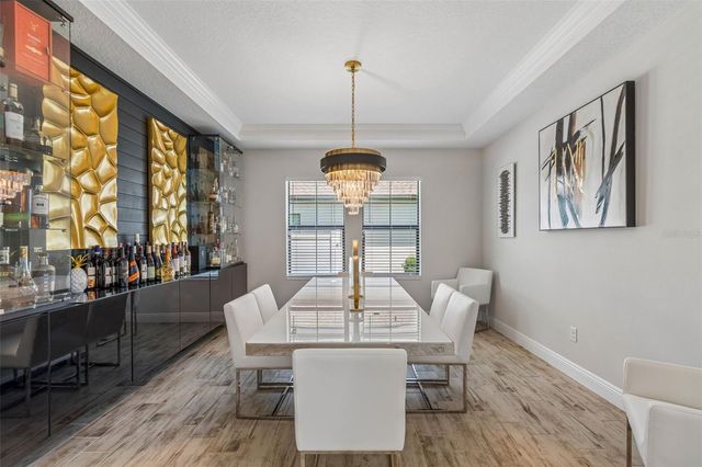 13154 TWIN BRIDGES DRIVE, Riverview, FL 33579