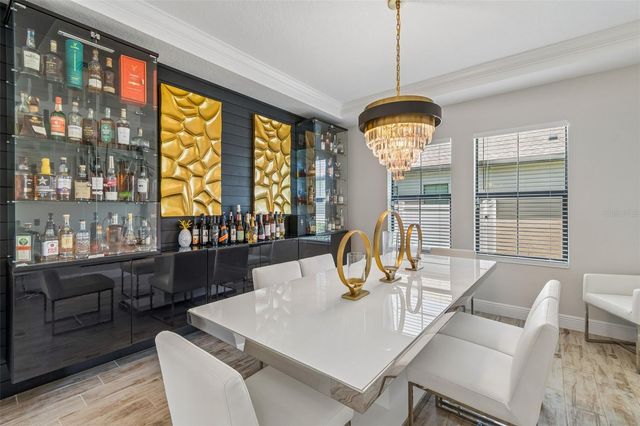 13154 TWIN BRIDGES DRIVE, Riverview, FL 33579