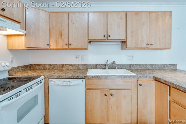 39615 Village Wood Lane, Novi, MI 48375