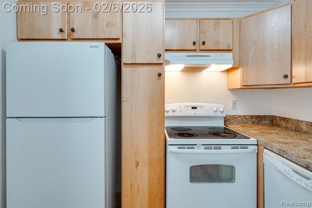 39615 Village Wood Lane, Novi, MI 48375