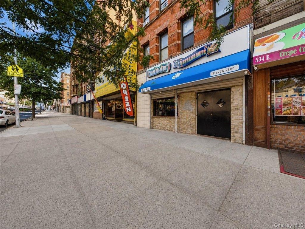 536 E 138th Street 8, Bronx, NY 10454 — photo 3