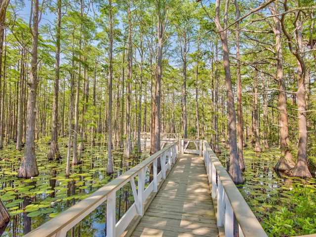 Lot 107 Cypress Walk, Santa Rosa Beach, FL 32459