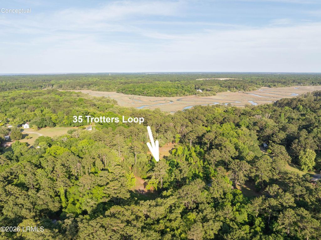 35 Trotters Loop, Beaufort, SC 29907