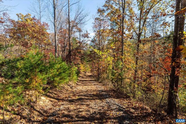 6424 FREE UNION RD, Free Union, VA 22940