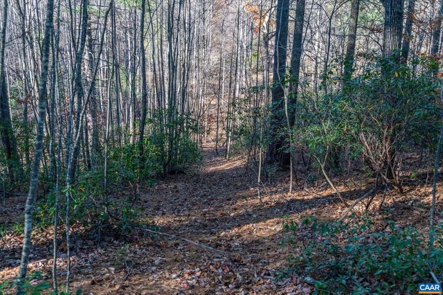 6424 FREE UNION RD, Free Union, VA 22940