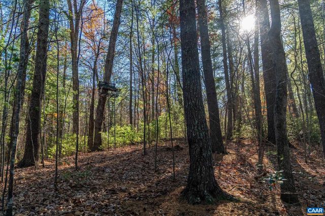 6424 FREE UNION RD, Free Union, VA 22940