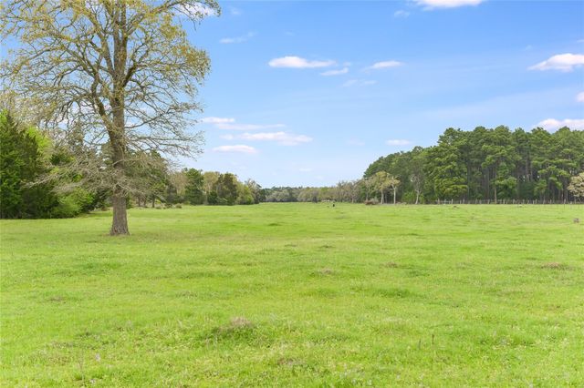 363 Paint Creek South RD A, Paige, TX 78659