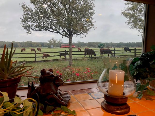363 Paint Creek South RD A, Paige, TX 78659