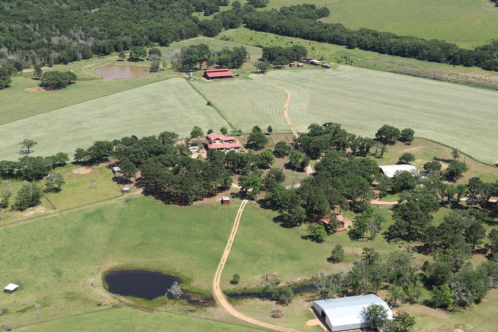 363 Paint Creek South RD A, Paige, TX 78659