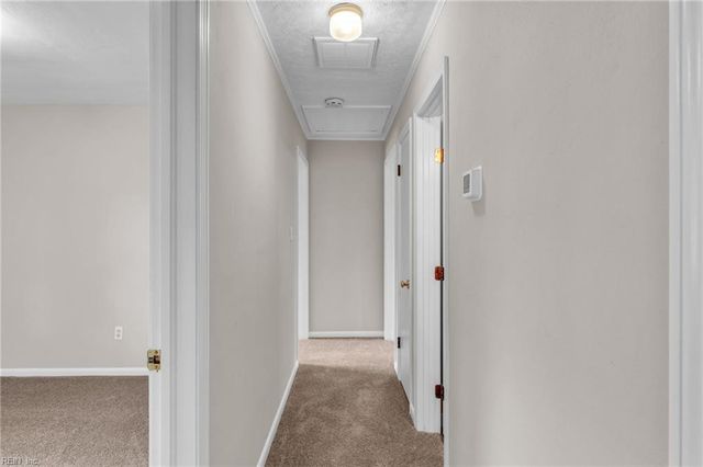 1511 Hazel AVE, Chesapeake, VA 23325