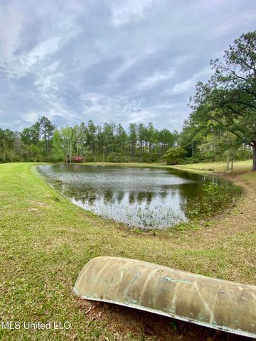 299 Quitman Perry Road, Carriere, MS 39426