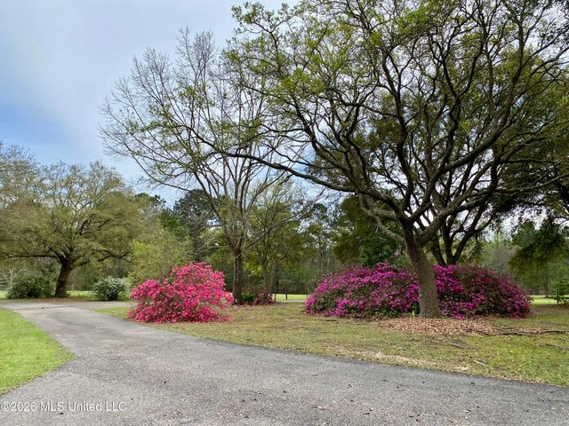299 Quitman Perry Road, Carriere, MS 39426