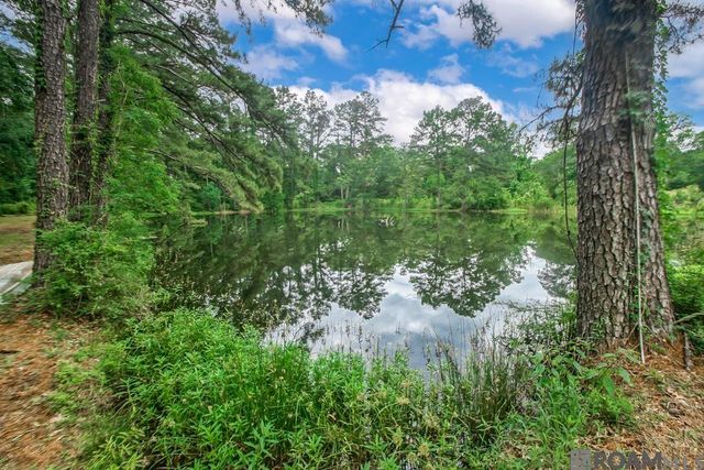 22874 La Hwy 1032, Denham Springs, LA 70726