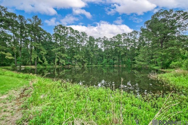 22874 La Hwy 1032, Denham Springs, LA 70726
