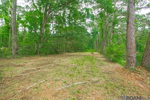 22874 La Hwy 1032, Denham Springs, LA 70726