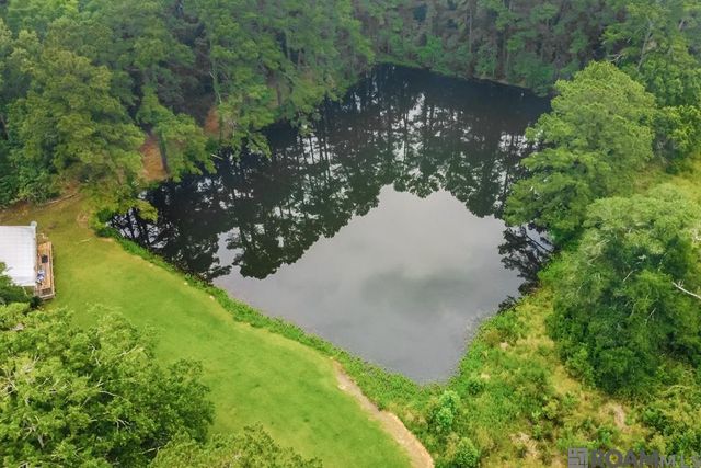 22874 La Hwy 1032, Denham Springs, LA 70726