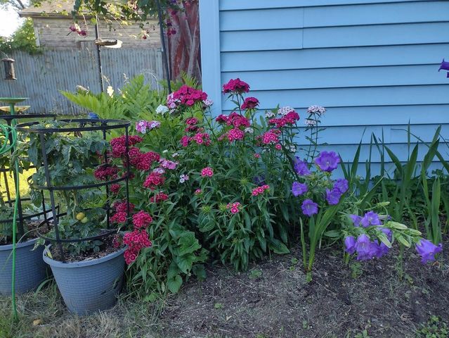 35 4Th Street, Swanton, VT 05488