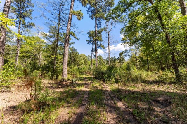 2A Sundog Road, Huntsville, TX 77340
