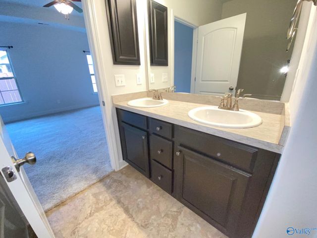 289 Abercorn Drive, Madison, AL 35756