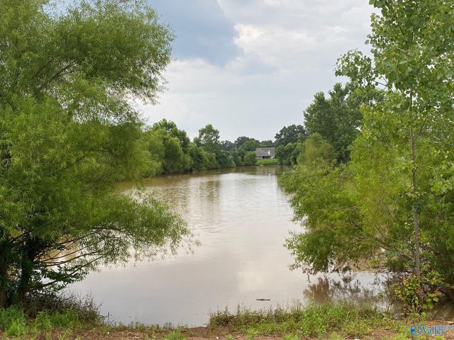 289 Abercorn Drive, Madison, AL 35756