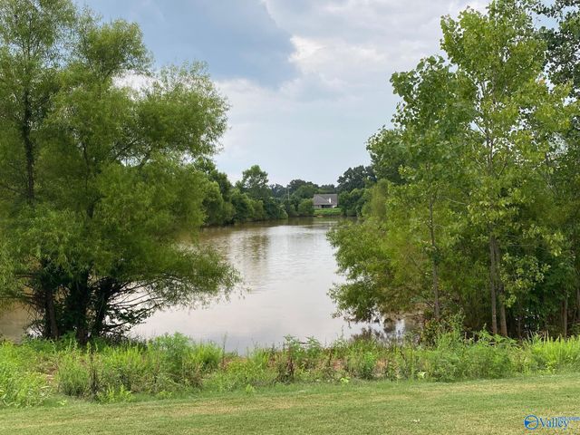 289 Abercorn Drive, Madison, AL 35756