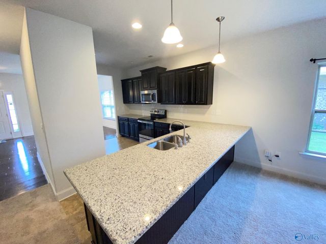 289 Abercorn Drive, Madison, AL 35756
