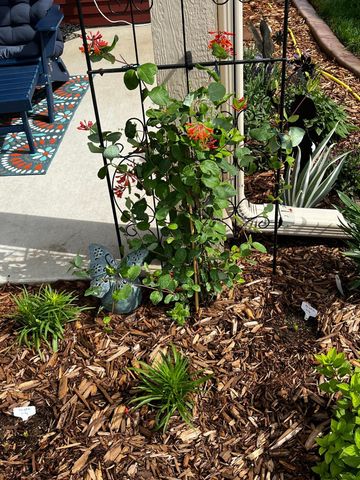 1922 Sandstone Loop S, Sartell, MN 56377