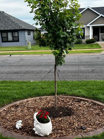 1922 Sandstone Loop S, Sartell, MN 56377