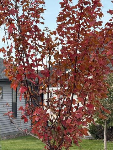 1922 Sandstone Loop S, Sartell, MN 56377