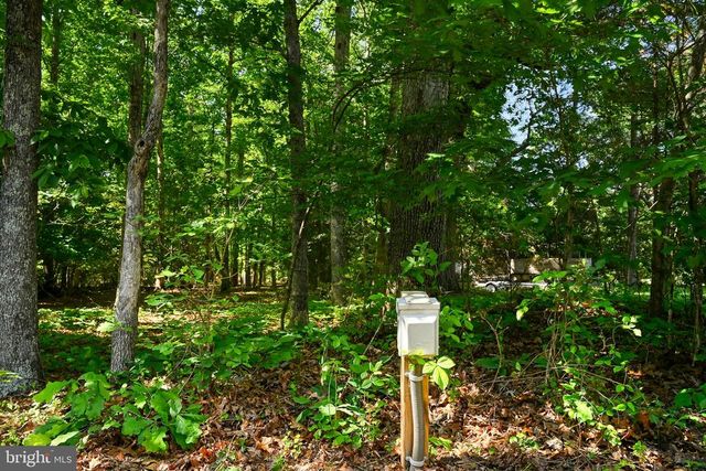 418 WINDWOOD COVES BLVD, Mineral, VA 23117