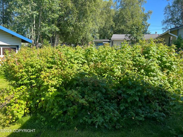 328 W Riverview Avenue, Soldotna, AK 99669